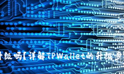 TPWallet能升级吗？详解TPWallet的升级步骤与注意事项