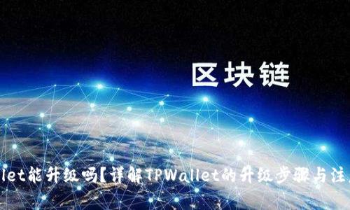 TPWallet能升级吗？详解TPWallet的升级步骤与注意事项